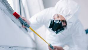 Pest Control for Hotels in Priceville, AL